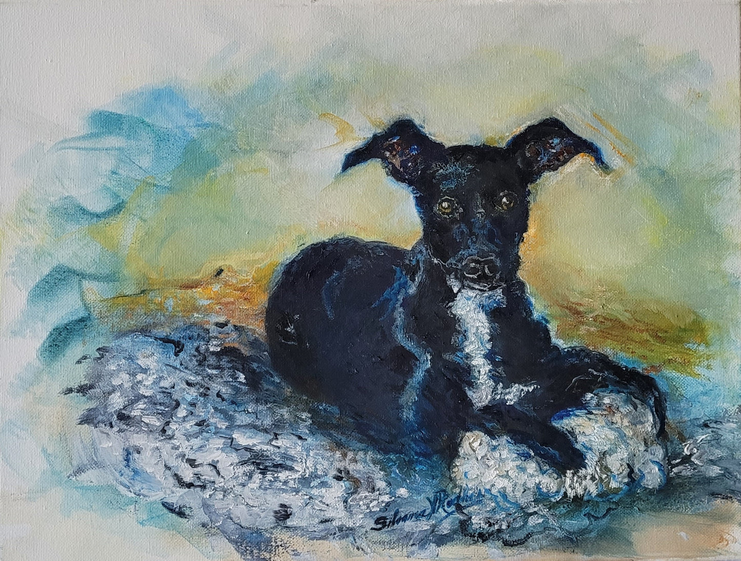 Border Collie Mix Puppy | Oil Painting.
