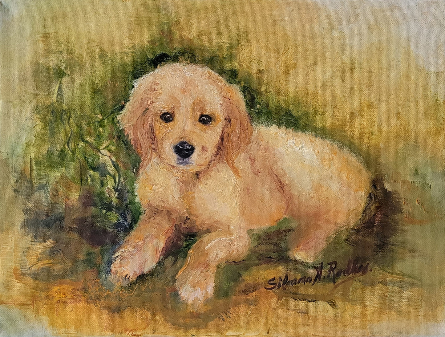 Golden Puppy | Oil Painting.