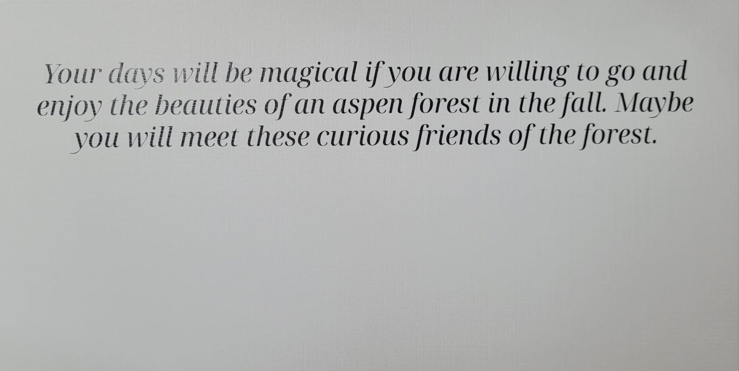 Deer Family in Aspen Forest | Greeting Card