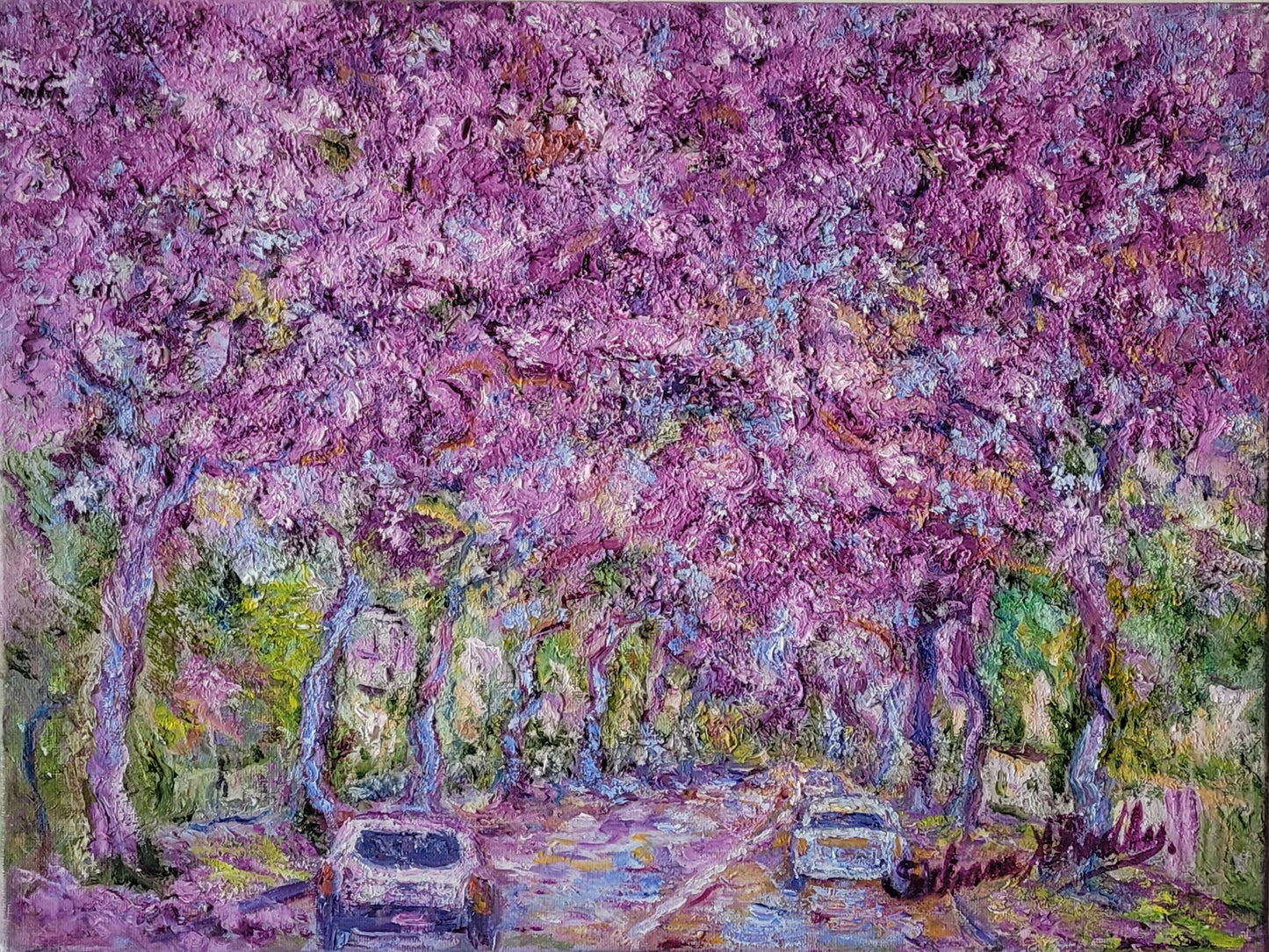 Jacaranda in Buenos Aires | Oil Painting.