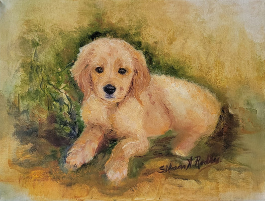 Golden Puppy | Oil Painting.
