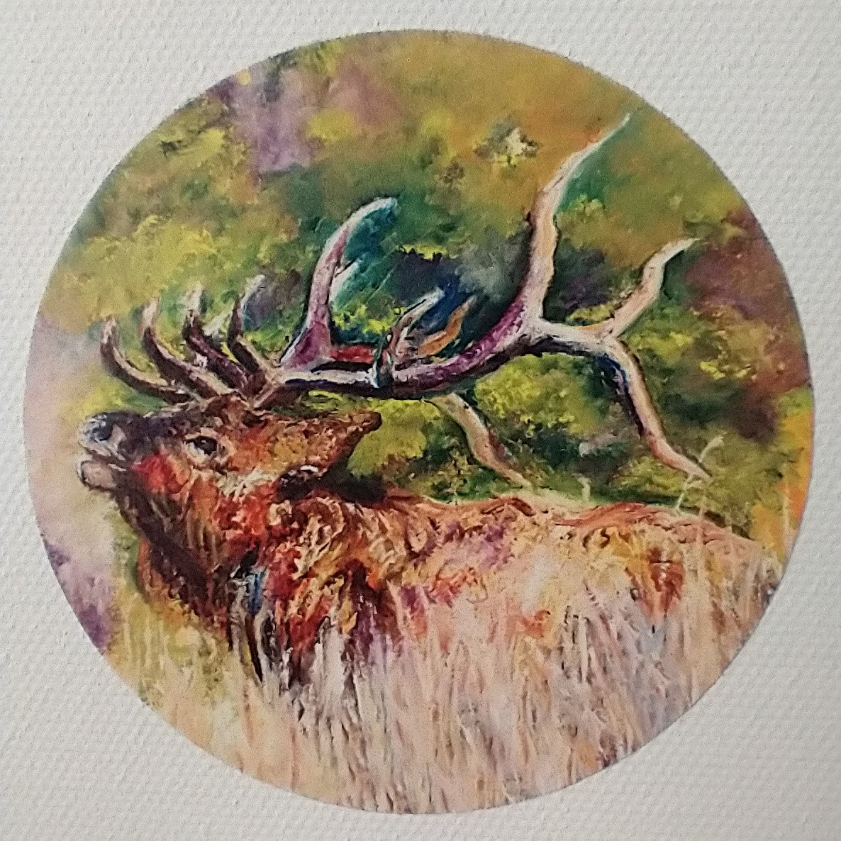Elk | Sticker