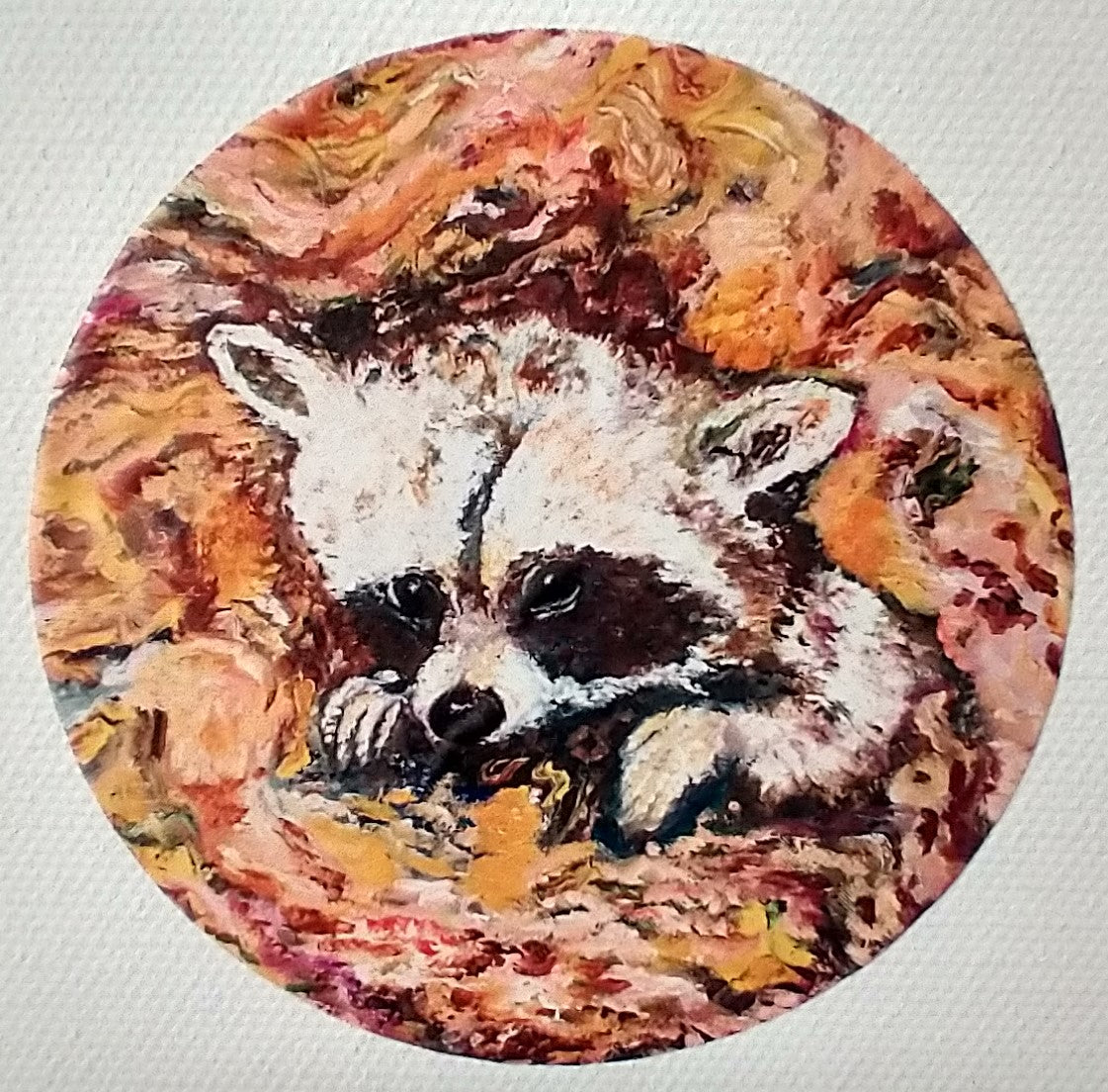 Raccoon | Sticker